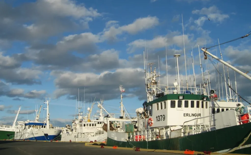 Hofn Islanda sud orientale