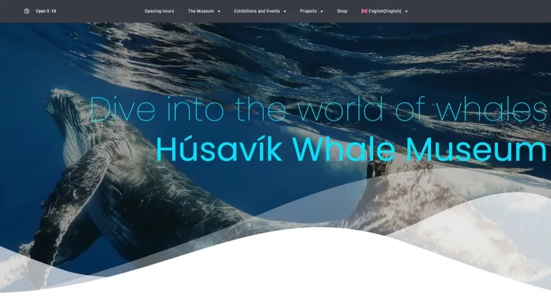 Museo delle balene di Husavik