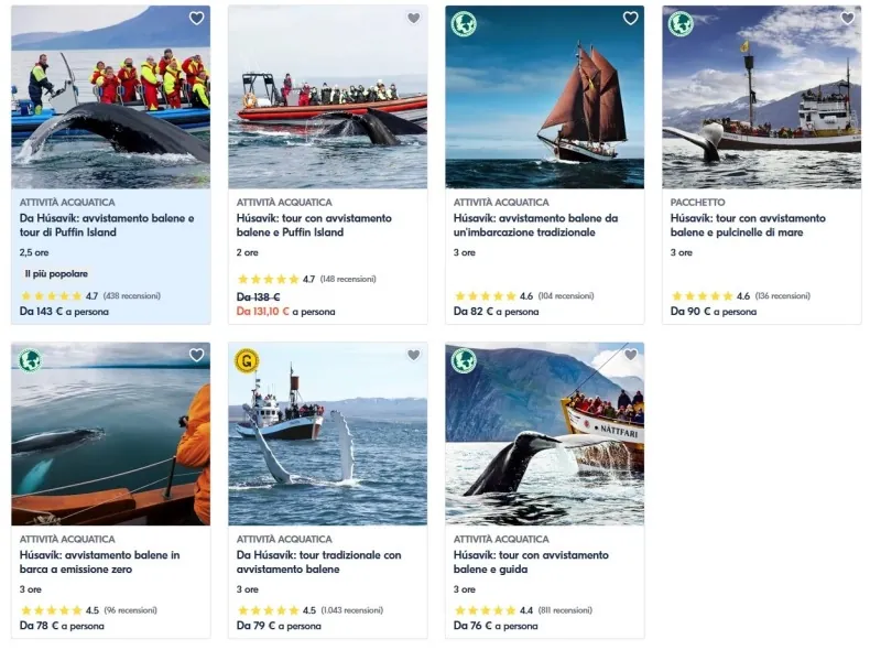 offerte escursioni avvistamento balene da Husavik GetYourGuide