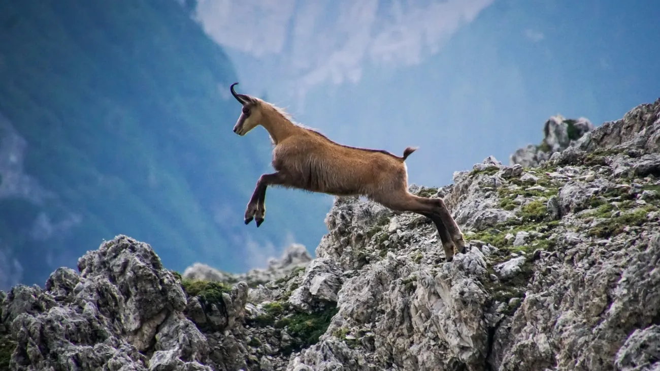 Parco Nazionale del Gran Paradiso