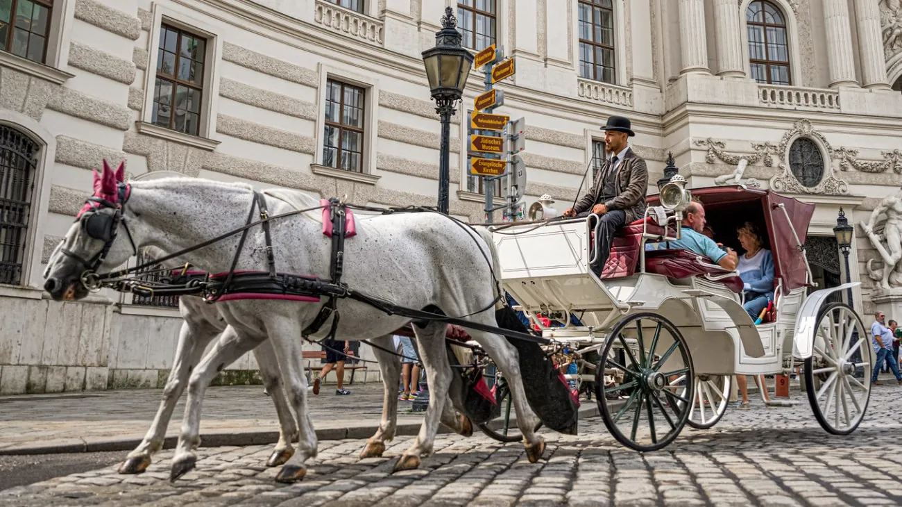 fiaker a Vienna