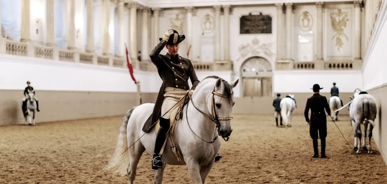 Scuola di Equitazione Spagnola, Hofburg Vienna
