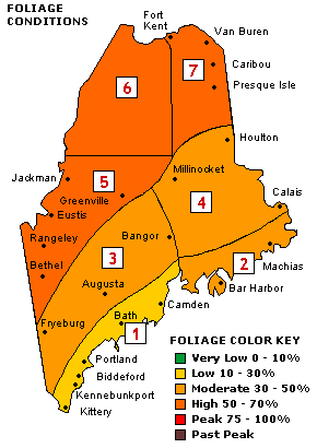 Maine foliage condition map