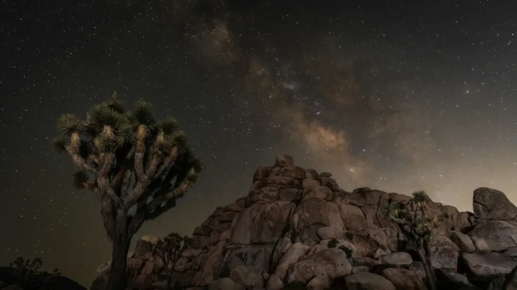 Joshua Tree National Park night sky